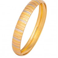 12 gr 22 Ayar Şarnelli Ahlatcı Bilezik